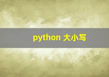 python 大小写